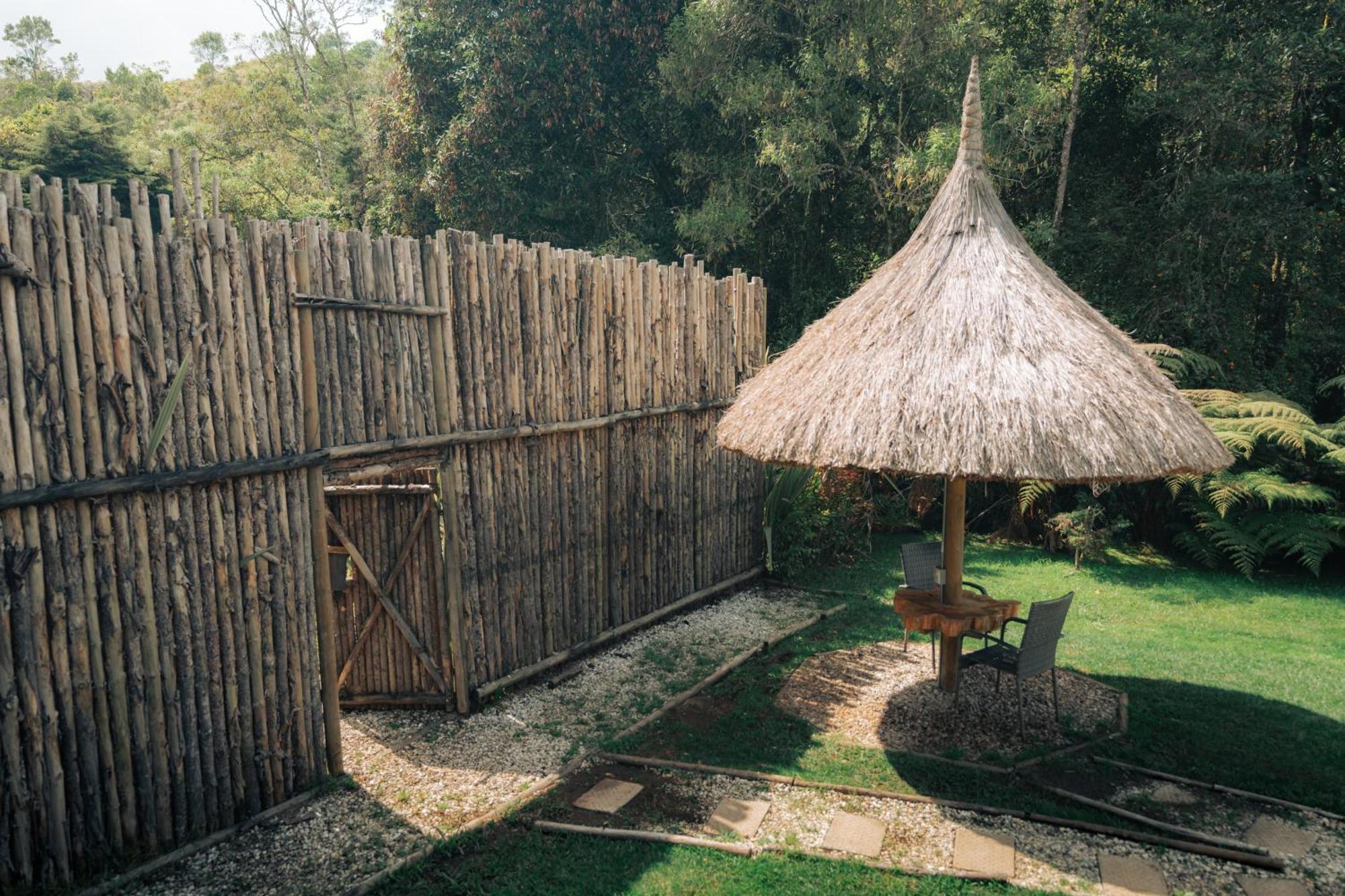 Bubblesky Glamping 15 Min From Medellin Hotel Rionegro Buitenkant foto